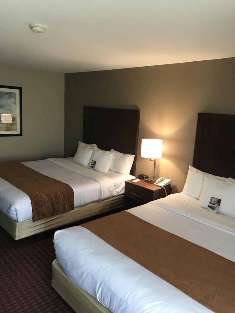 Comfort Inn Silicon Valley East Fremont Kültér fotó