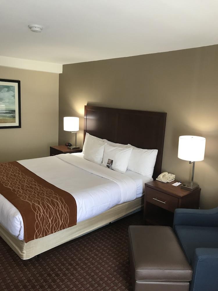 Comfort Inn Silicon Valley East Fremont Kültér fotó