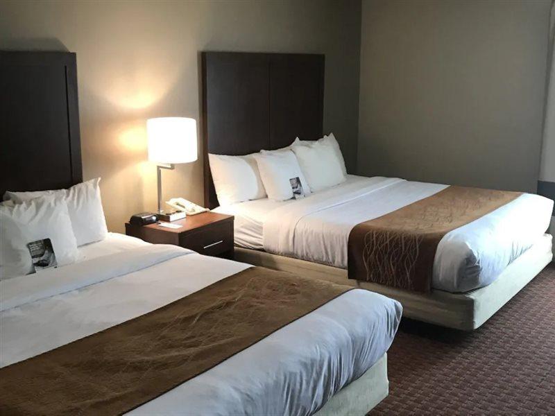 Comfort Inn Silicon Valley East Fremont Kültér fotó