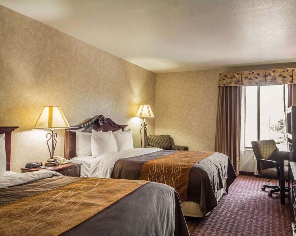 Comfort Inn Silicon Valley East Fremont Szoba fotó