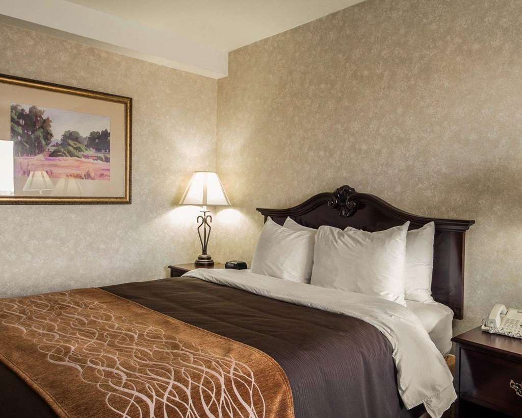 Comfort Inn Silicon Valley East Fremont Szoba fotó