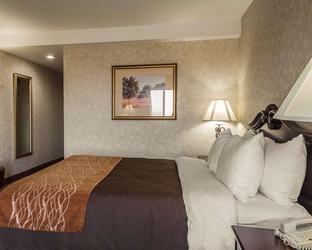 Comfort Inn Silicon Valley East Fremont Szoba fotó