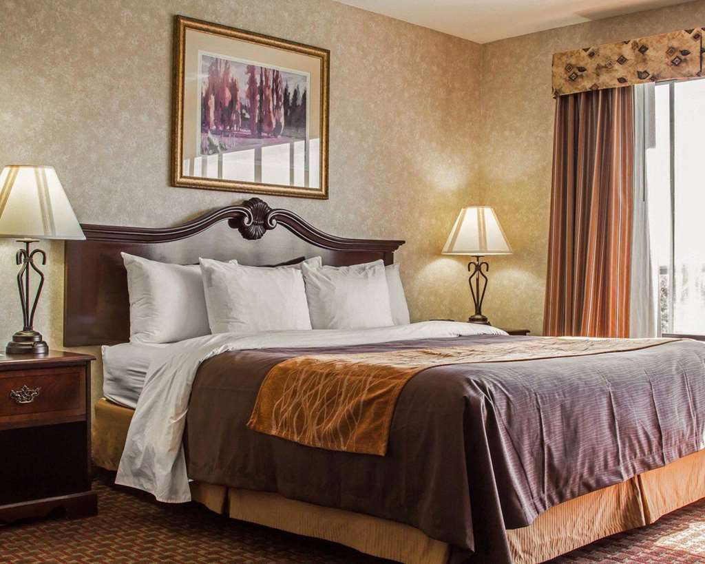 Comfort Inn Silicon Valley East Fremont Szoba fotó