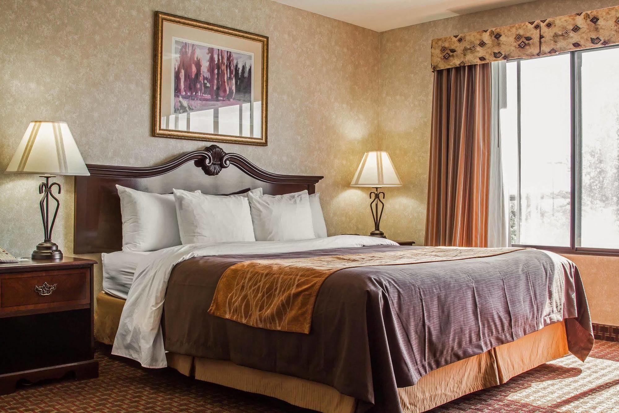 Comfort Inn Silicon Valley East Fremont Kültér fotó